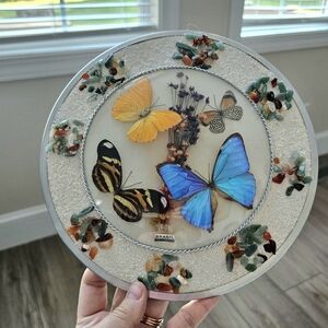 Vtg Taxidermy Brazil Morpho Butterfly Wildflower Dome Glass Gem Stone Entomology